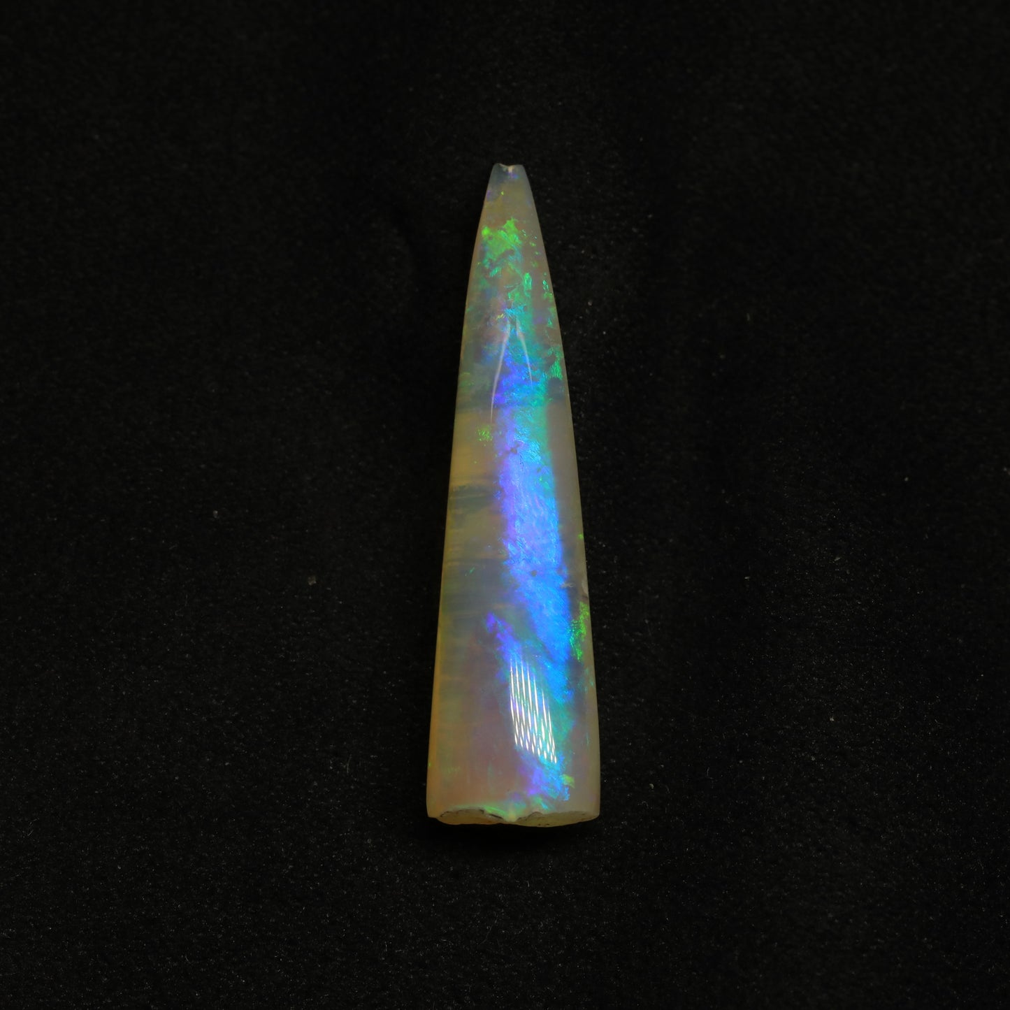 Opalised Belemnite Specimen From Lightning Ridge, Australia