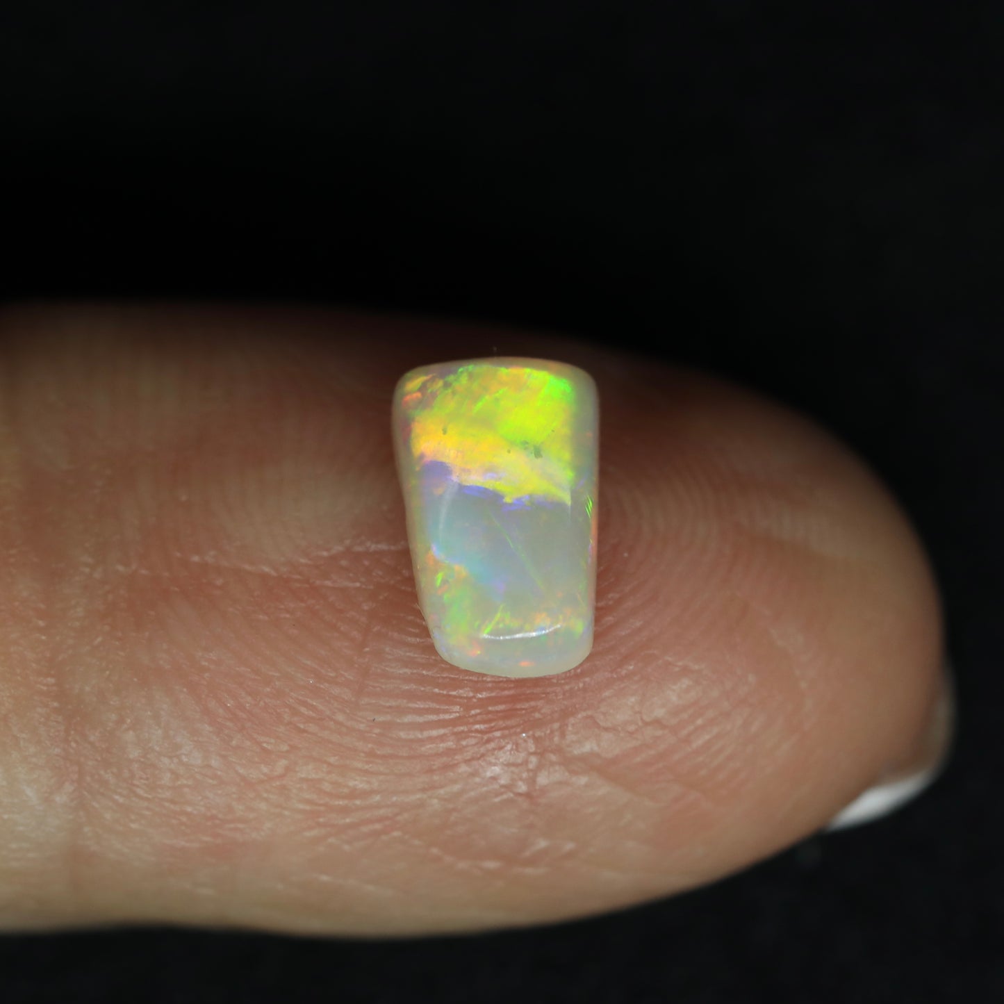 Crystal Opal From Lightning Ridge, Australia