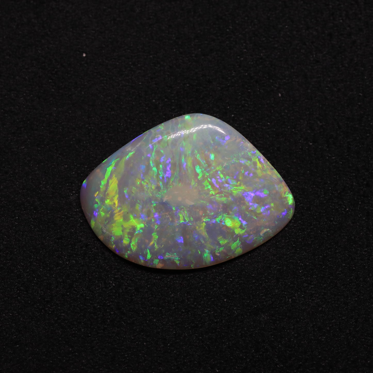 Opalised Clam Curved Shell Fossil From Coober Pedy, South Australia