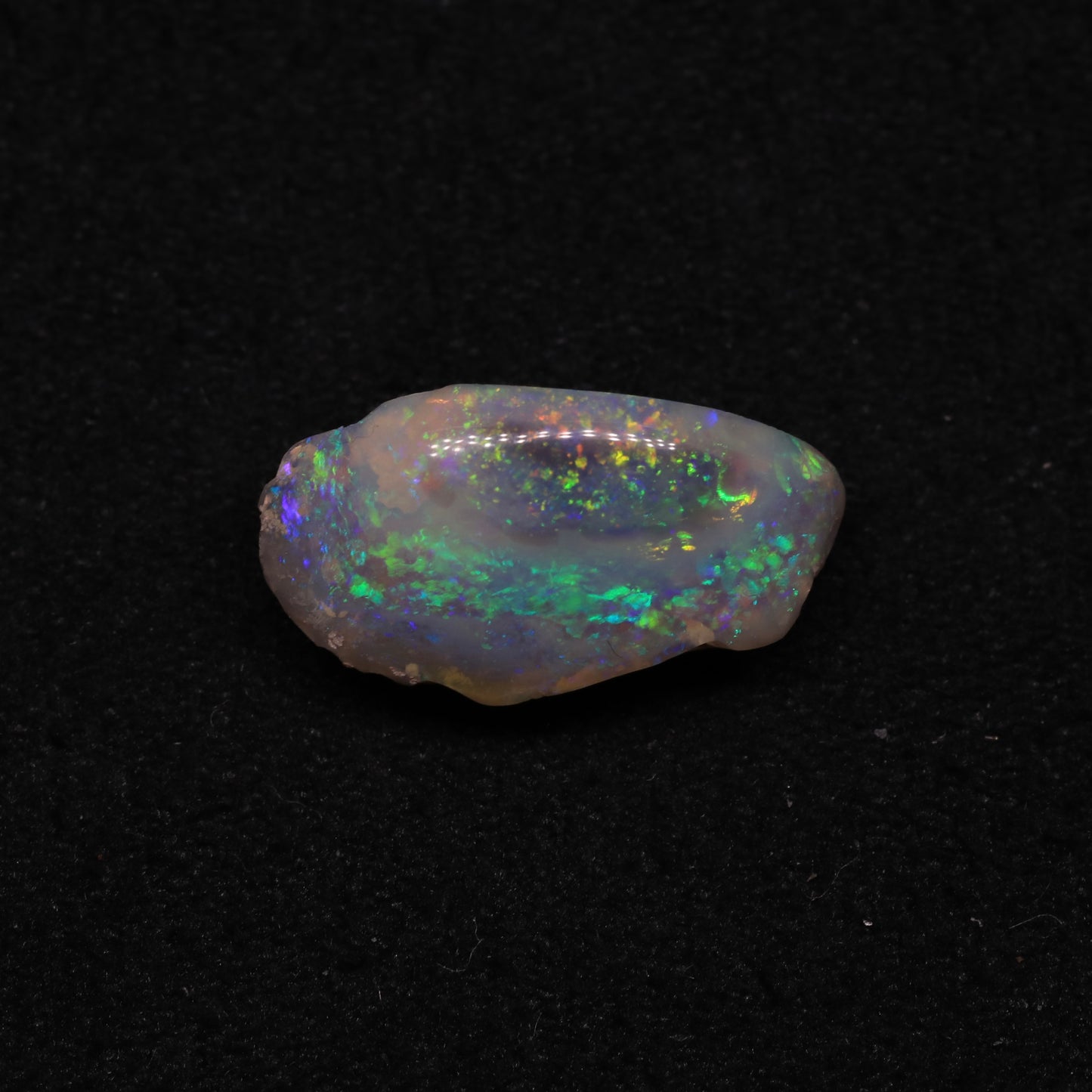 Opalised Clam Shell Fossil From Lightning Ridge, Australia