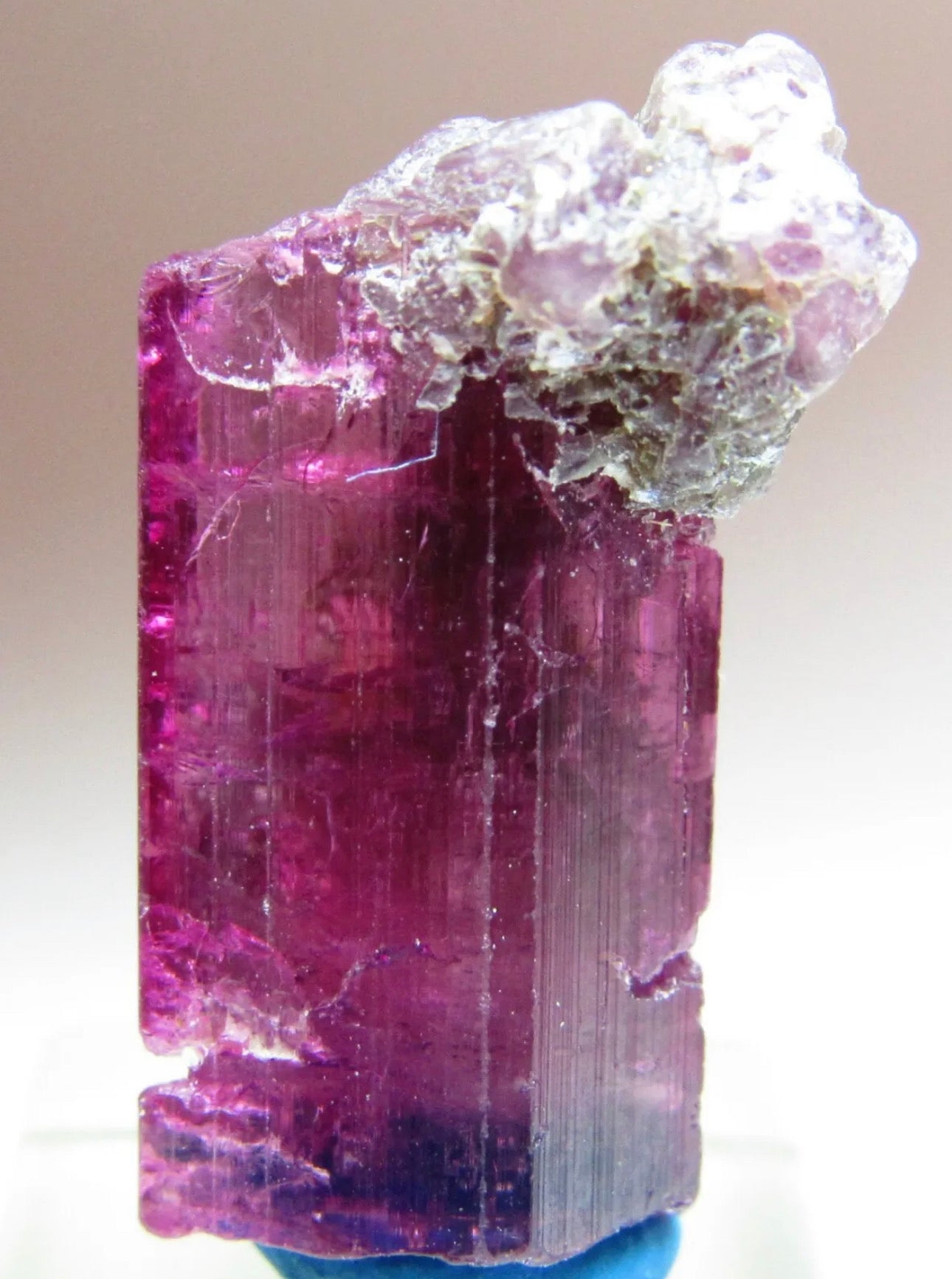 Mesmerizing Rubellite Tourmaline Gem Crystal With Lepidolite From Brazil