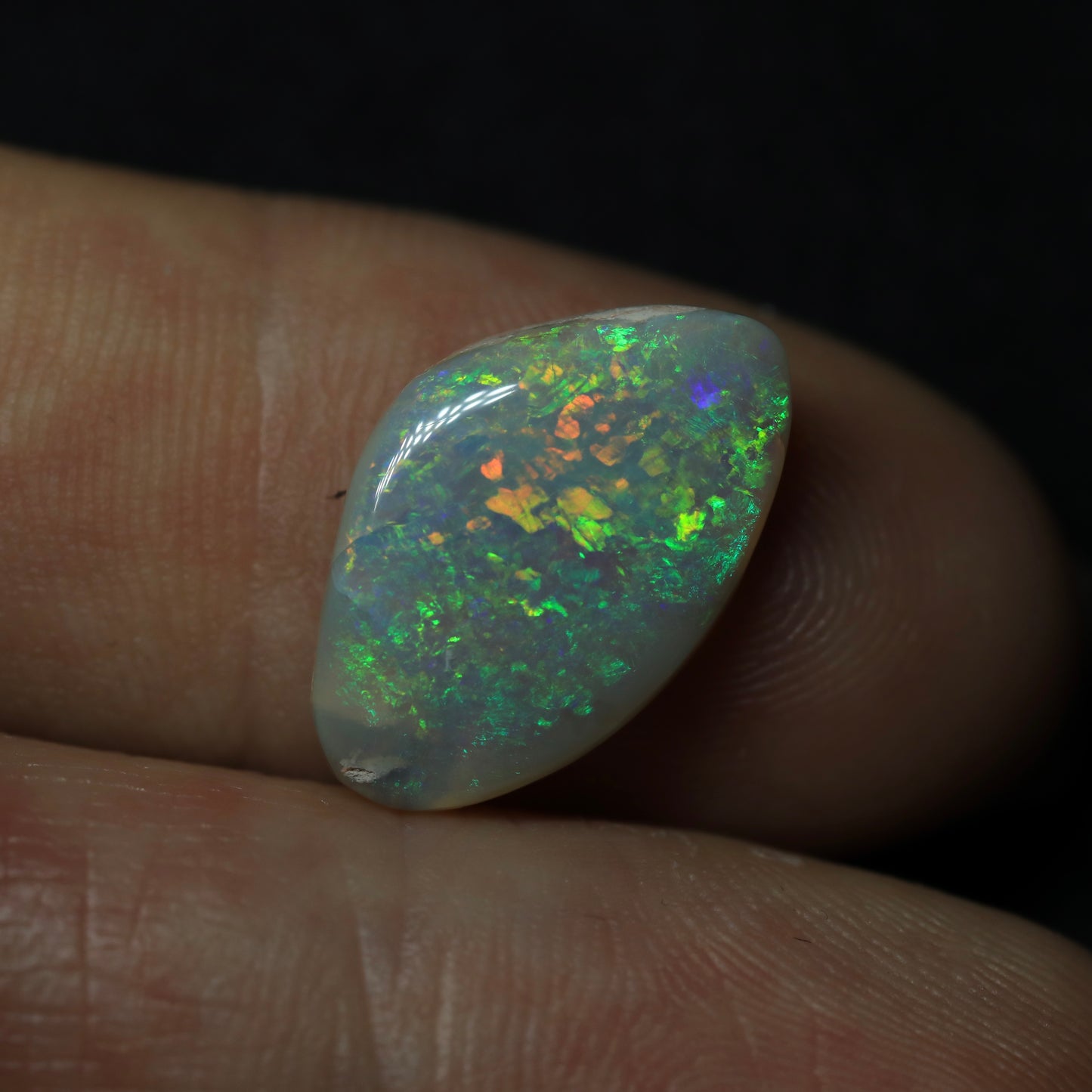 Crystal Opal Cut from an Opalized Shell, from Lightning Ridge, Australia
