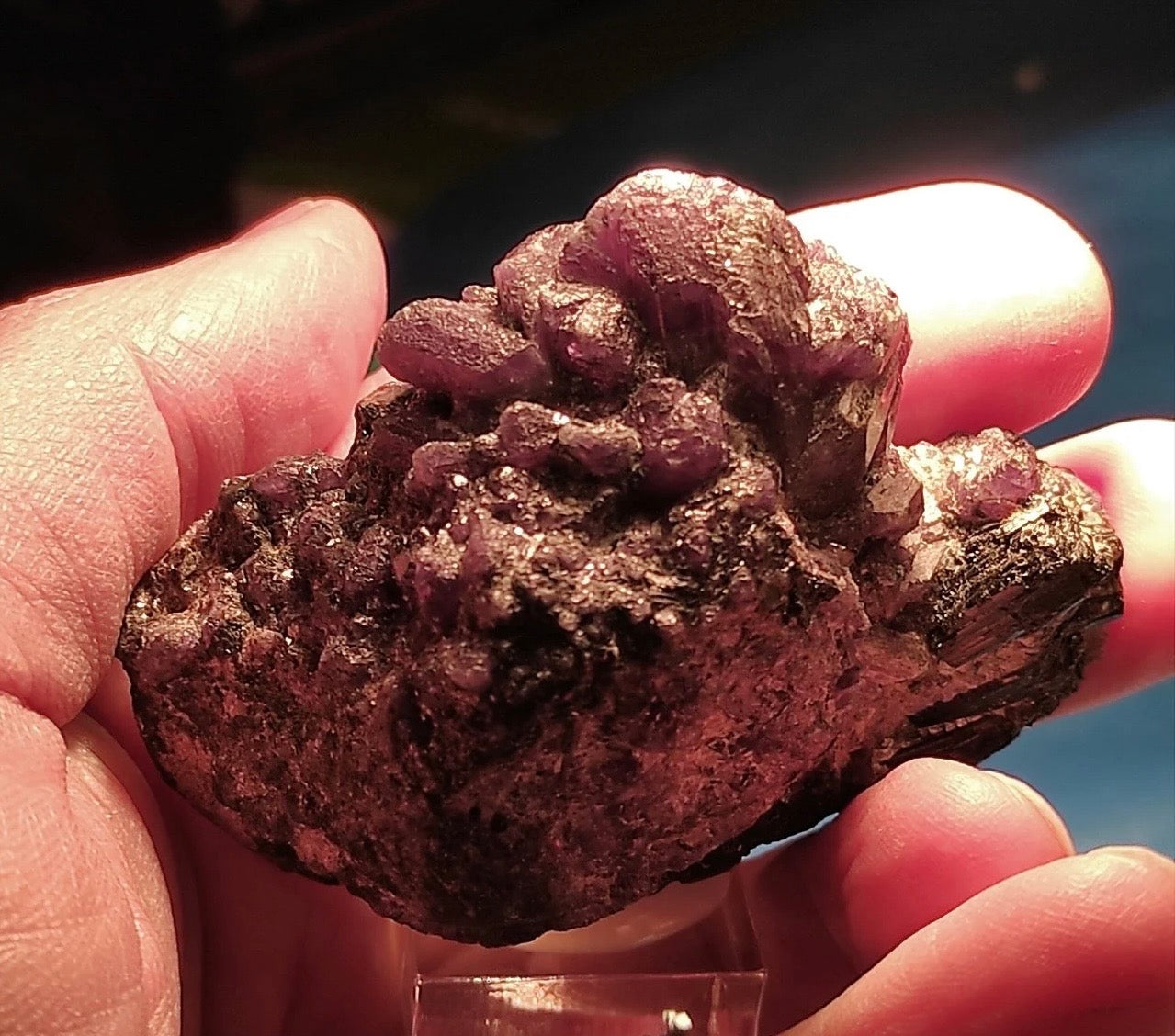 Museum Grade Russian Alexandrite Mineral Specimen With Black Tourmaline On Host Rock From Ural Mountains
