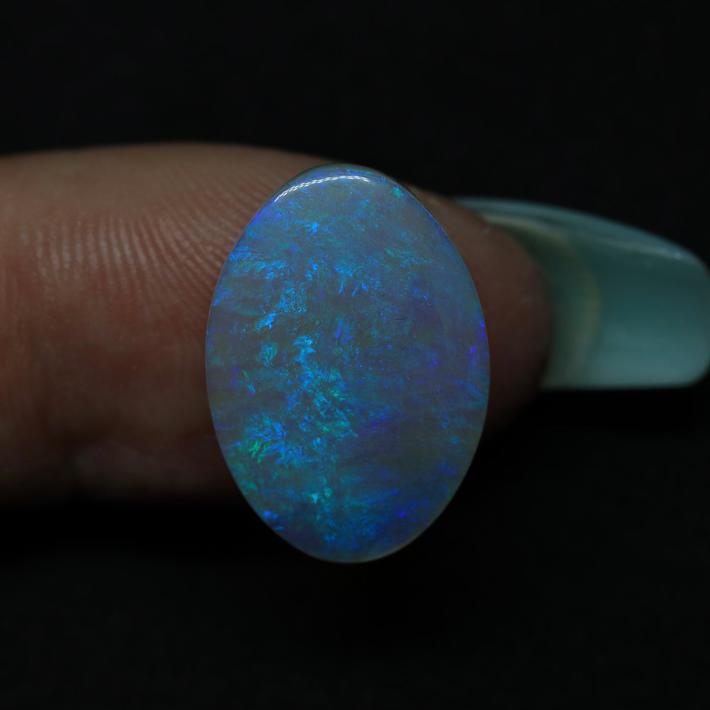 Crystal Opal From Lightning Ridge, Australia