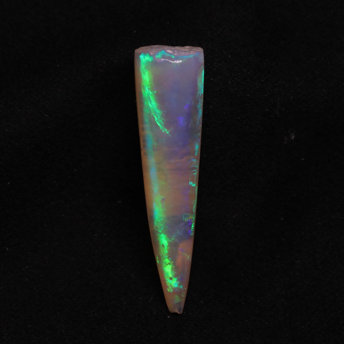 Opalised Belemnite Specimen From Lightning Ridge, Australia