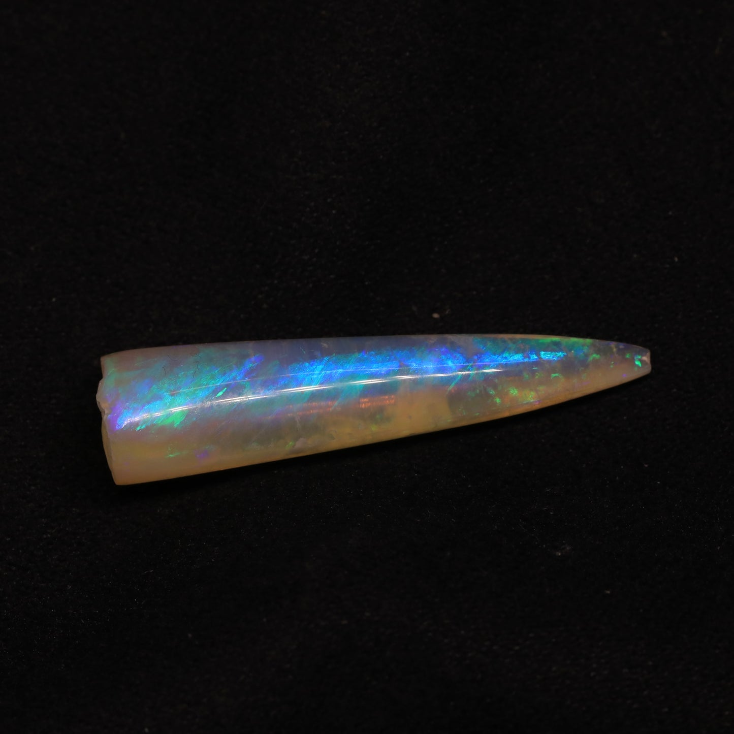 Opalised Belemnite Specimen From Lightning Ridge, Australia