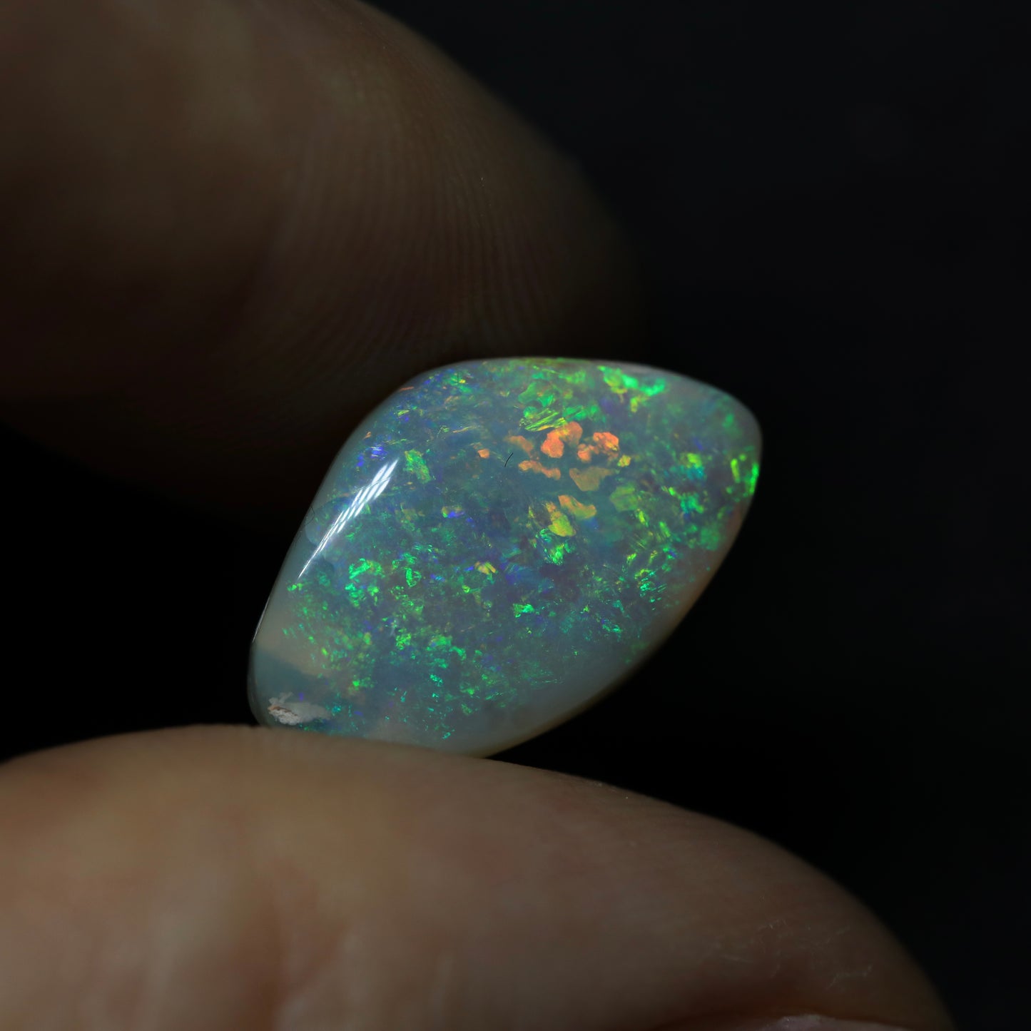 Crystal Opal Cut from an Opalized Shell, from Lightning Ridge, Australia
