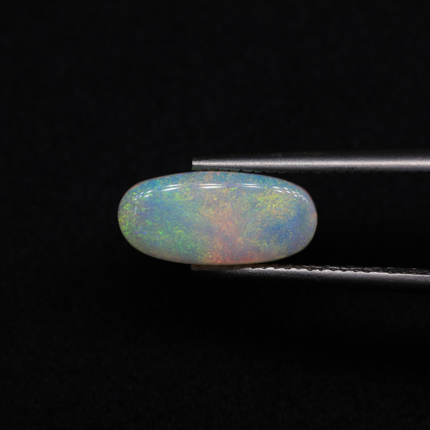 Crystal Opal From Lightning Ridge, Australia