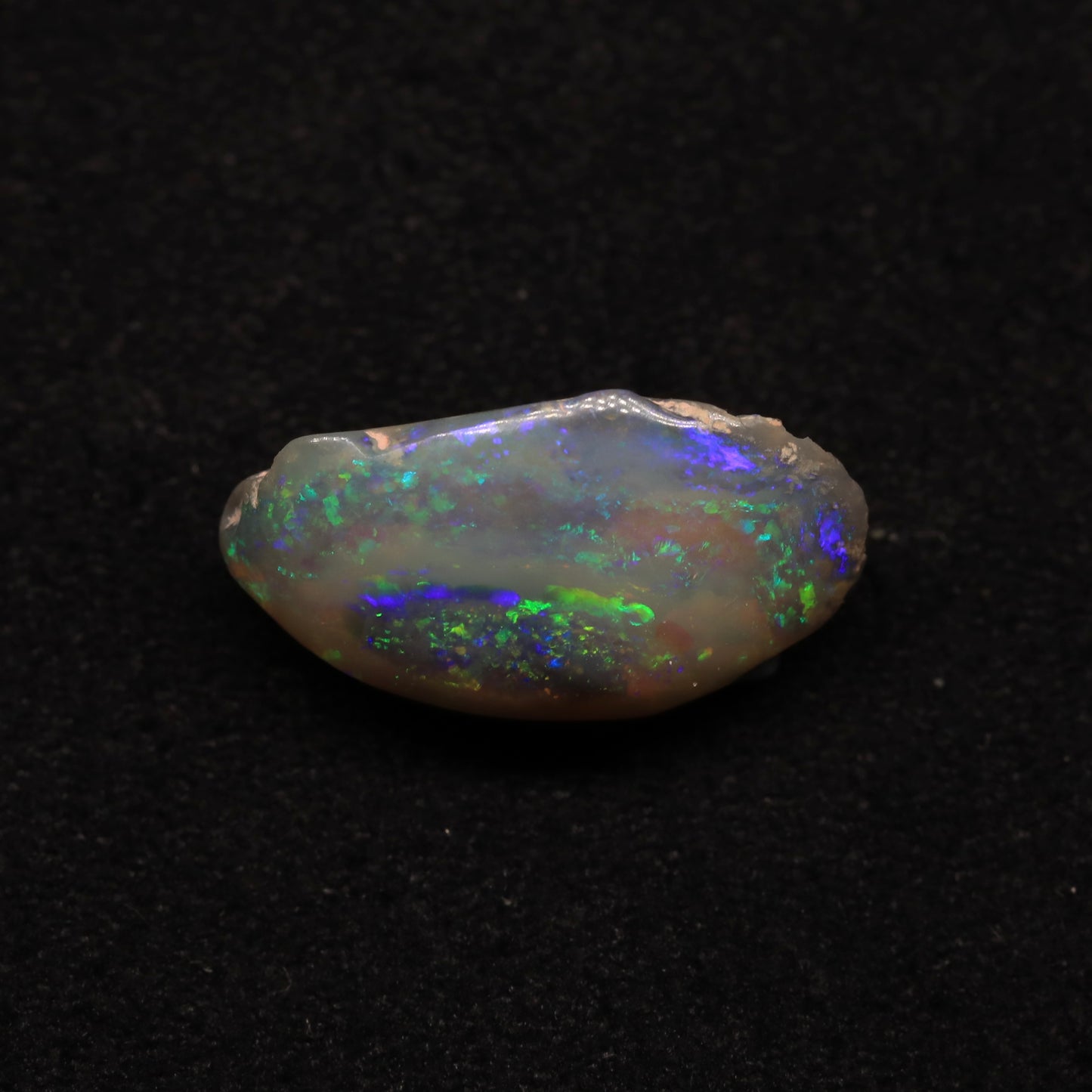 Opalised Clam Shell Fossil From Lightning Ridge, Australia