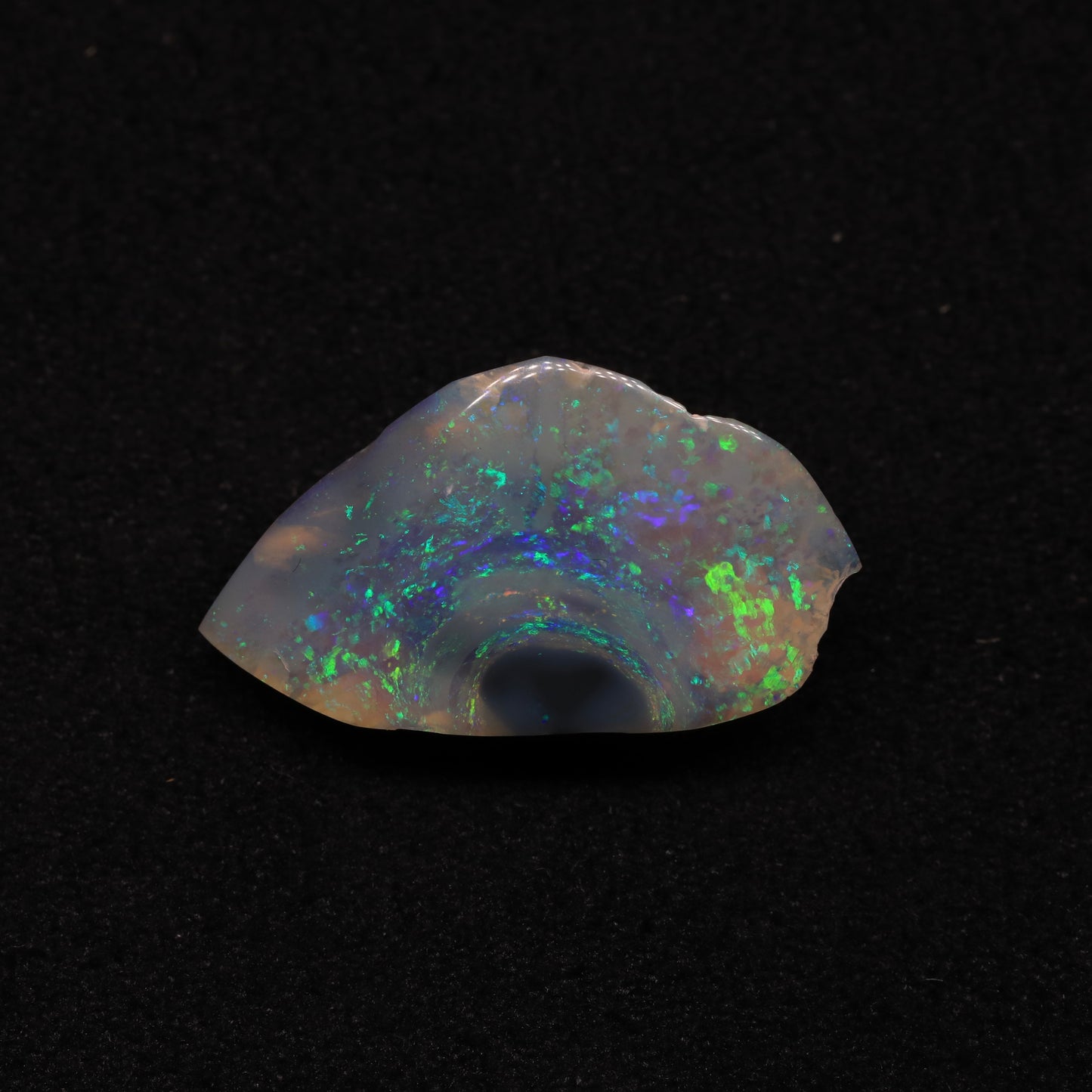 Opalised Clam Shell Fossil From Lightning Ridge, Australia