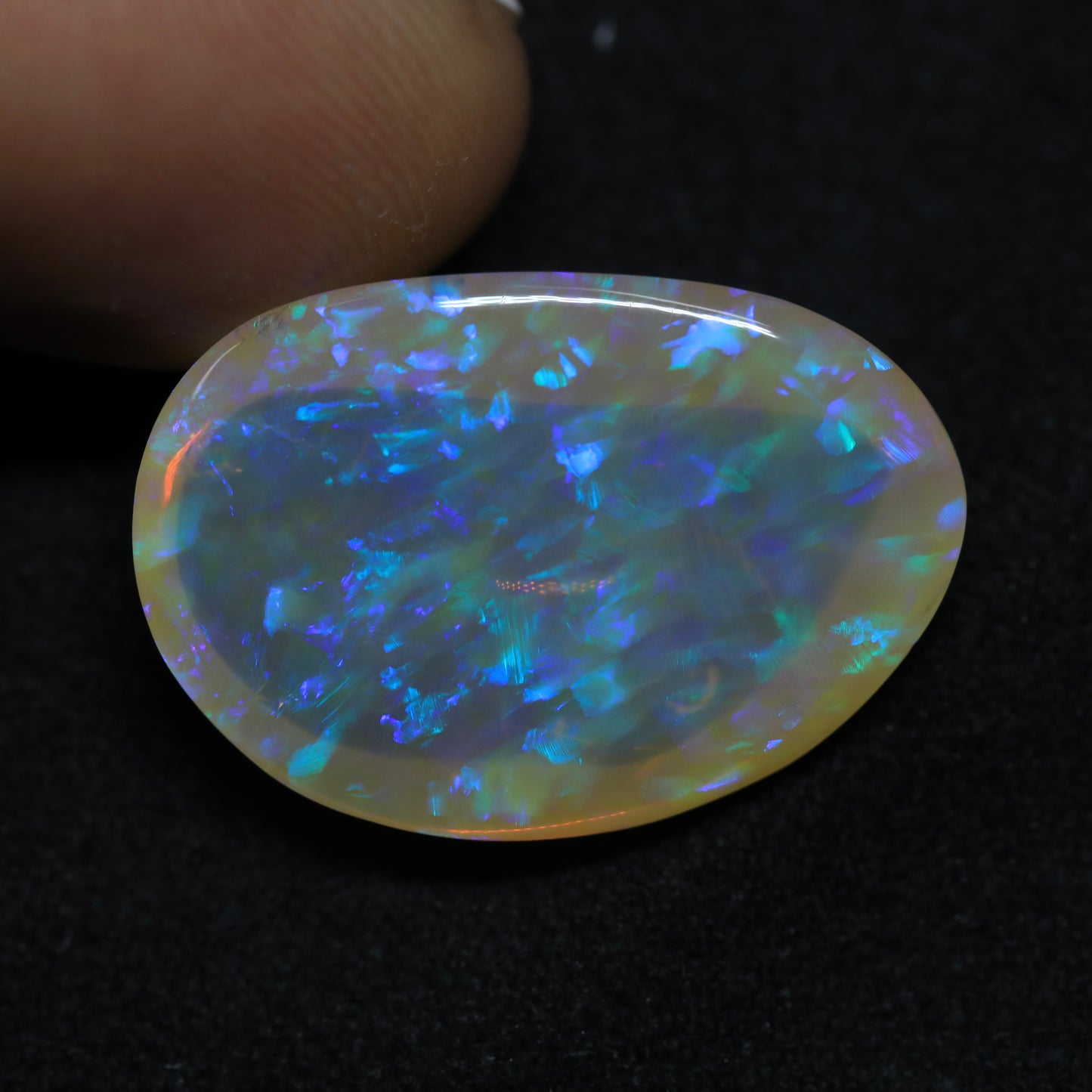 Crystal Opal From Lightning Ridge, Australia