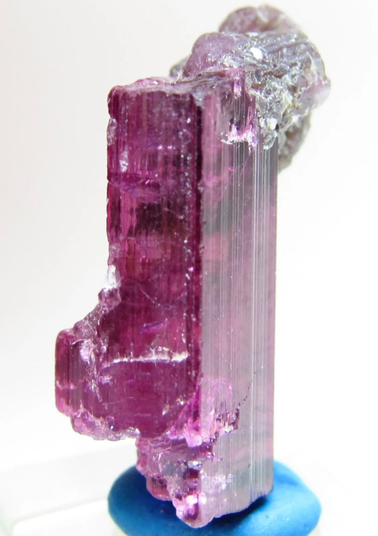 Mesmerizing Rubellite Tourmaline Gem Crystal With Lepidolite From Brazil