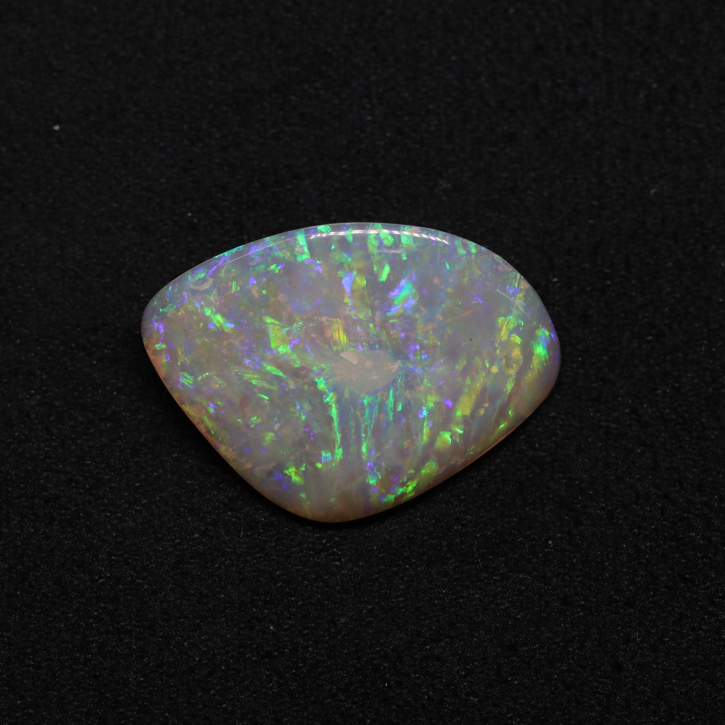 Opalised Clam Curved Shell Fossil From Coober Pedy, South Australia