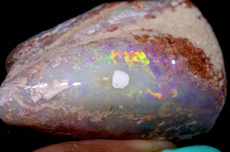 Opalised Mussel Bi-Valve Fossil from Lightning Ridge, Australia