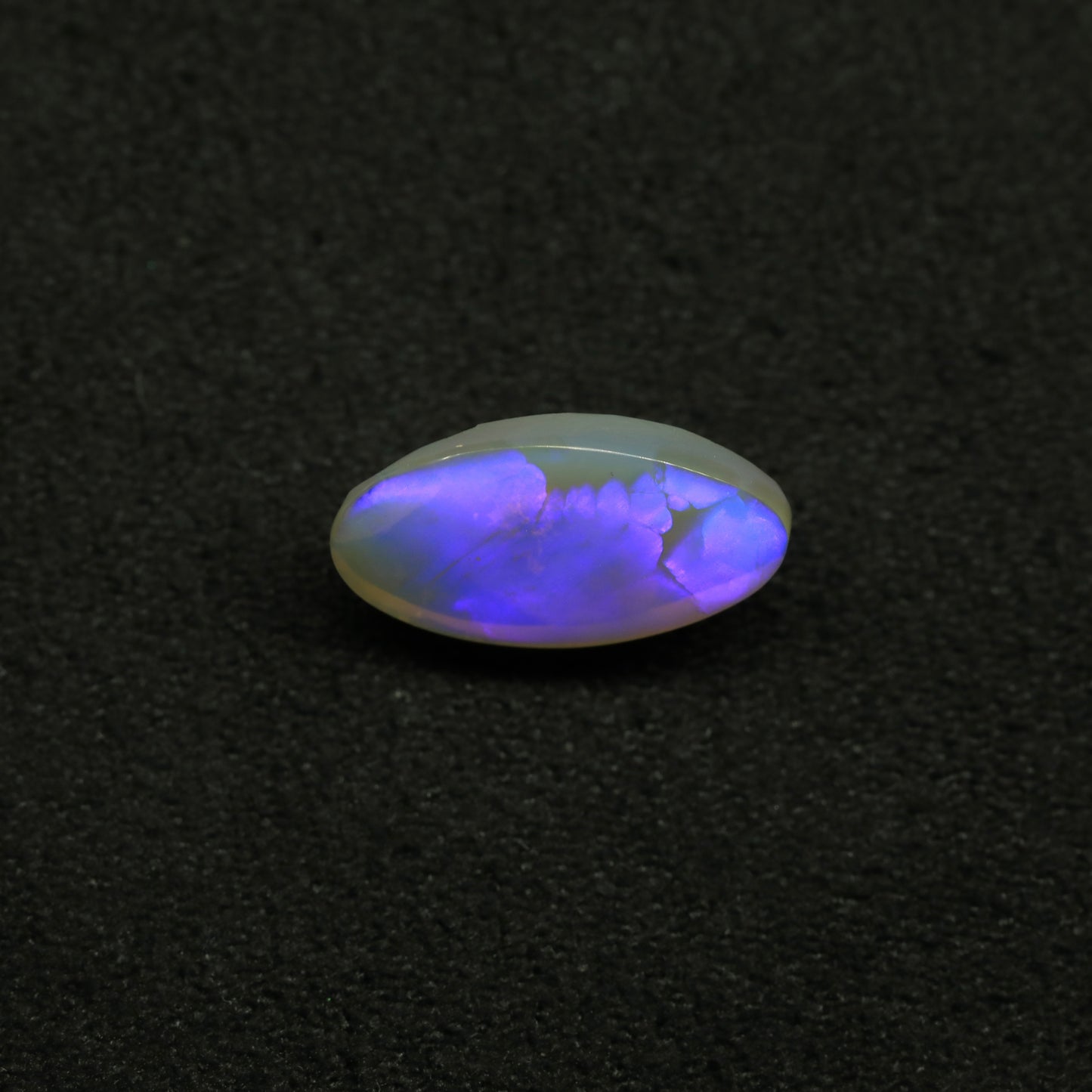 Crystal Opal From Lightning Ridge, Australia