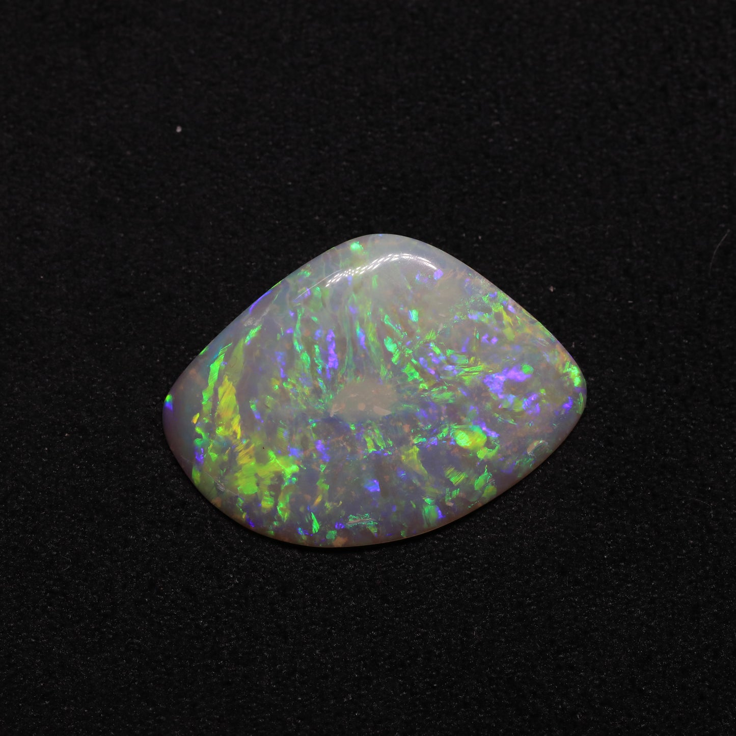 Opalised Clam Curved Shell Fossil From Coober Pedy, South Australia