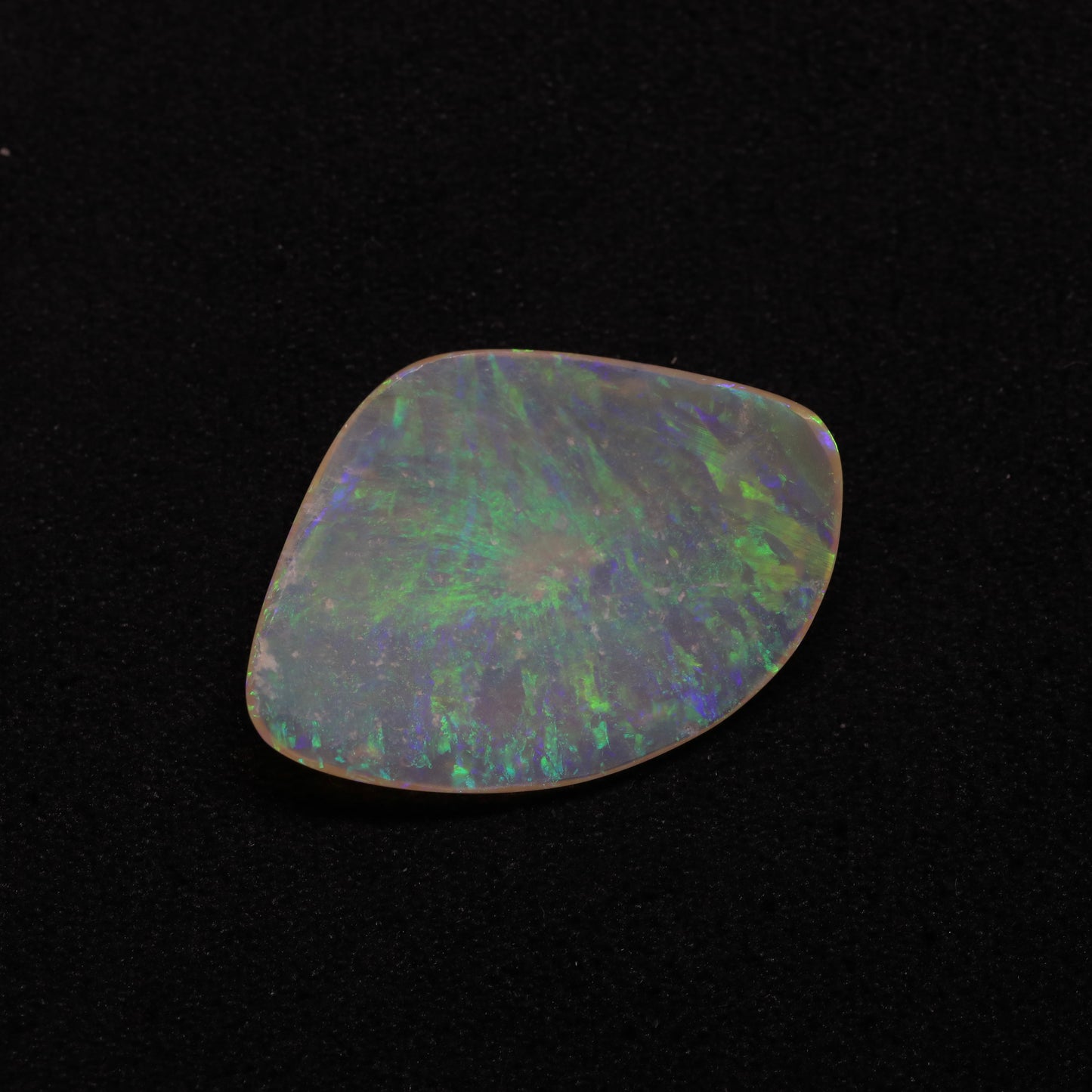Opalised Clam Curved Shell Fossil From Coober Pedy, South Australia