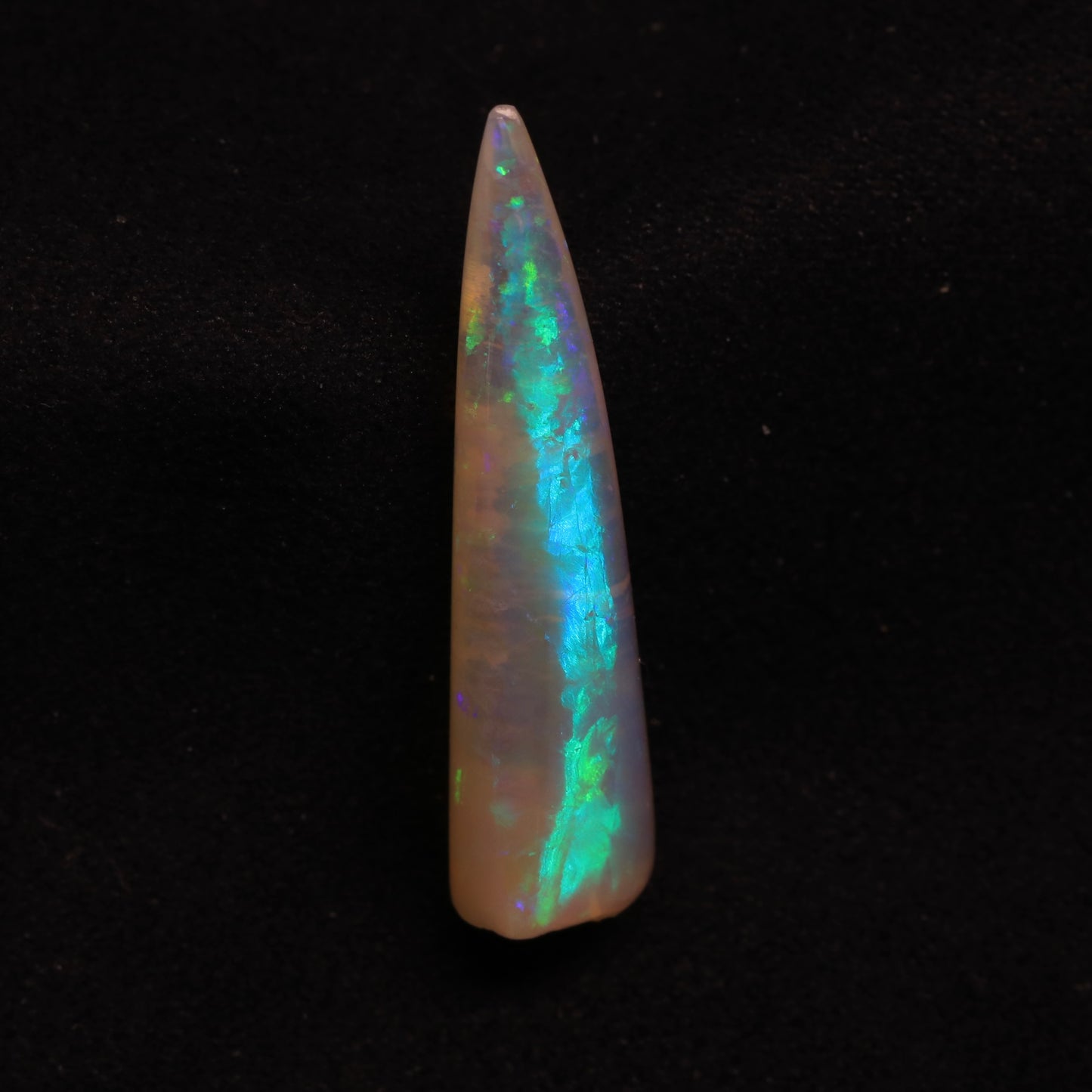 Opalised Belemnite Specimen From Lightning Ridge, Australia