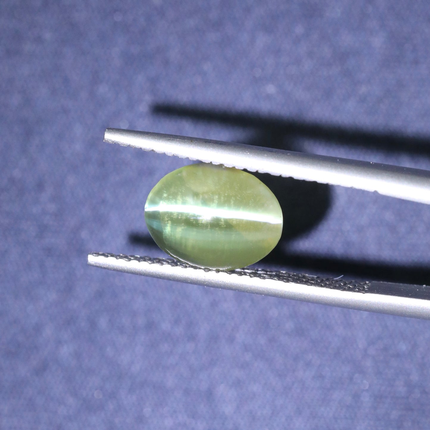 Neon Green Cat's Eye Chrysoberyl From Sri Lanka