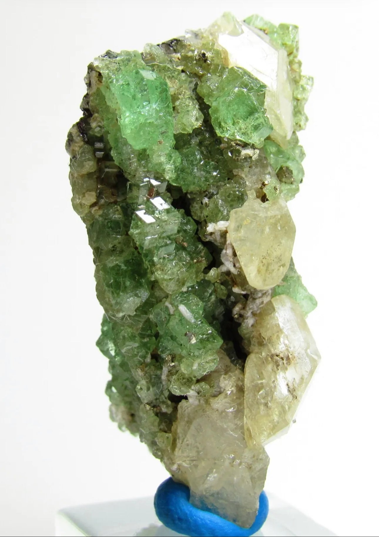 Exquisite Masterpiece Tsavorite Grossular Garnet With Diopside From Tanzania
