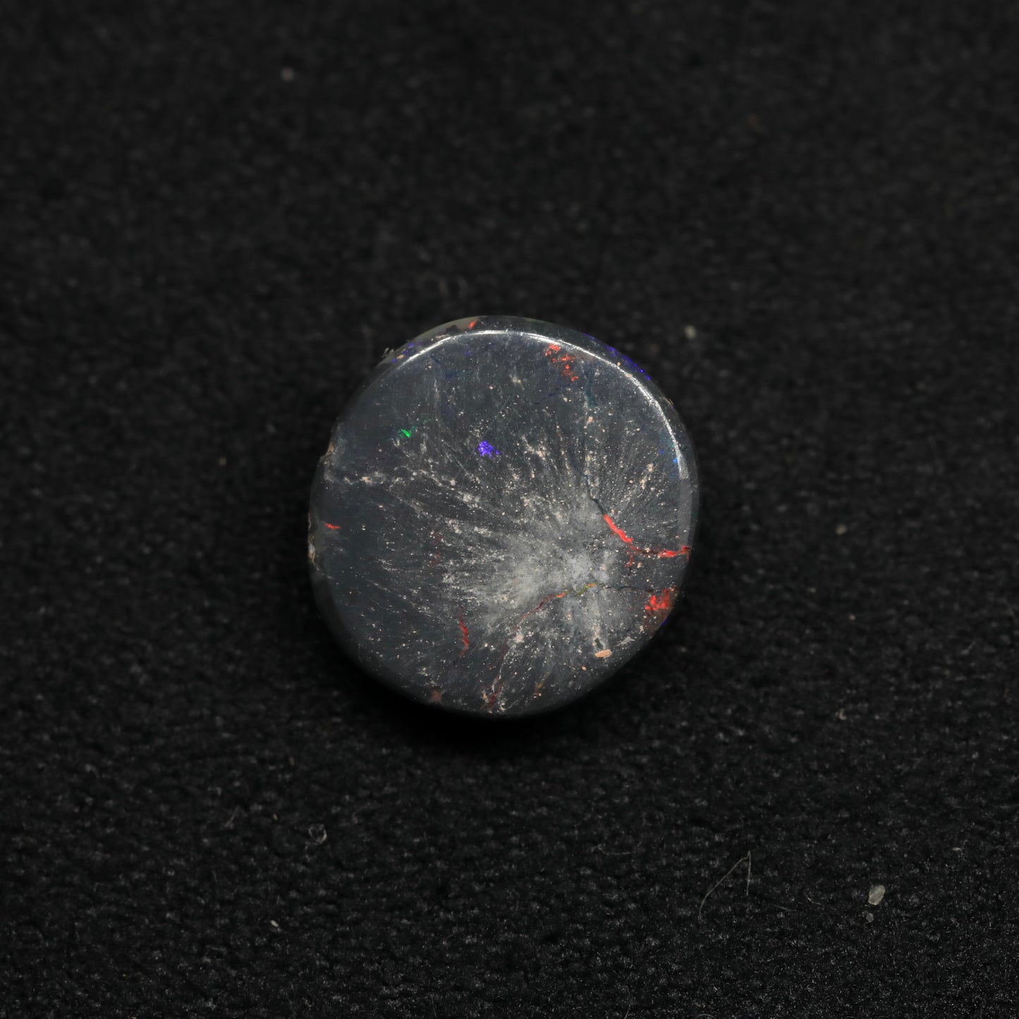 Opalised Wood Fossil From Lightning Ridge, Australia