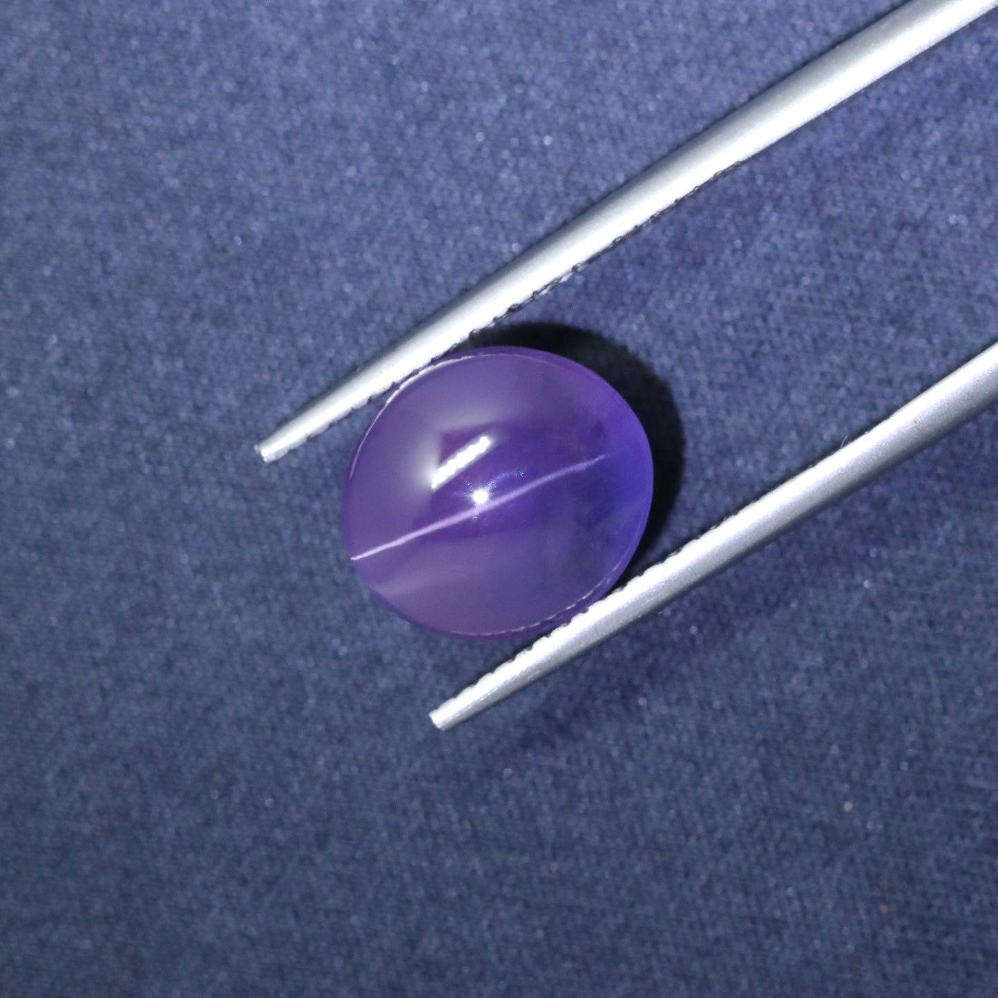 Unique Bicolor Cat’s Eye Sapphire From Sri-Lanka