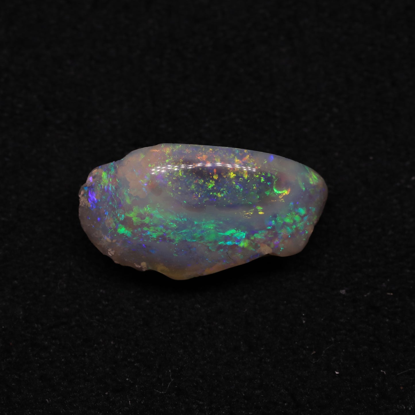 Opalised Clam Shell Fossil From Lightning Ridge, Australia