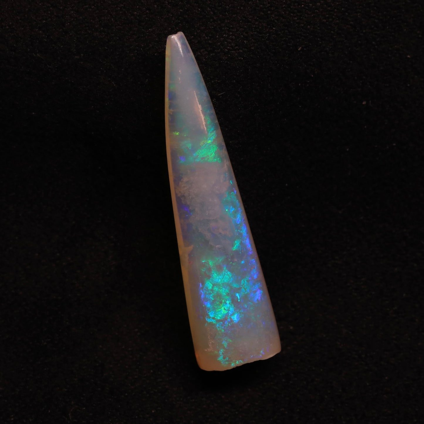Opalised Belemnite Specimen From Lightning Ridge, Australia