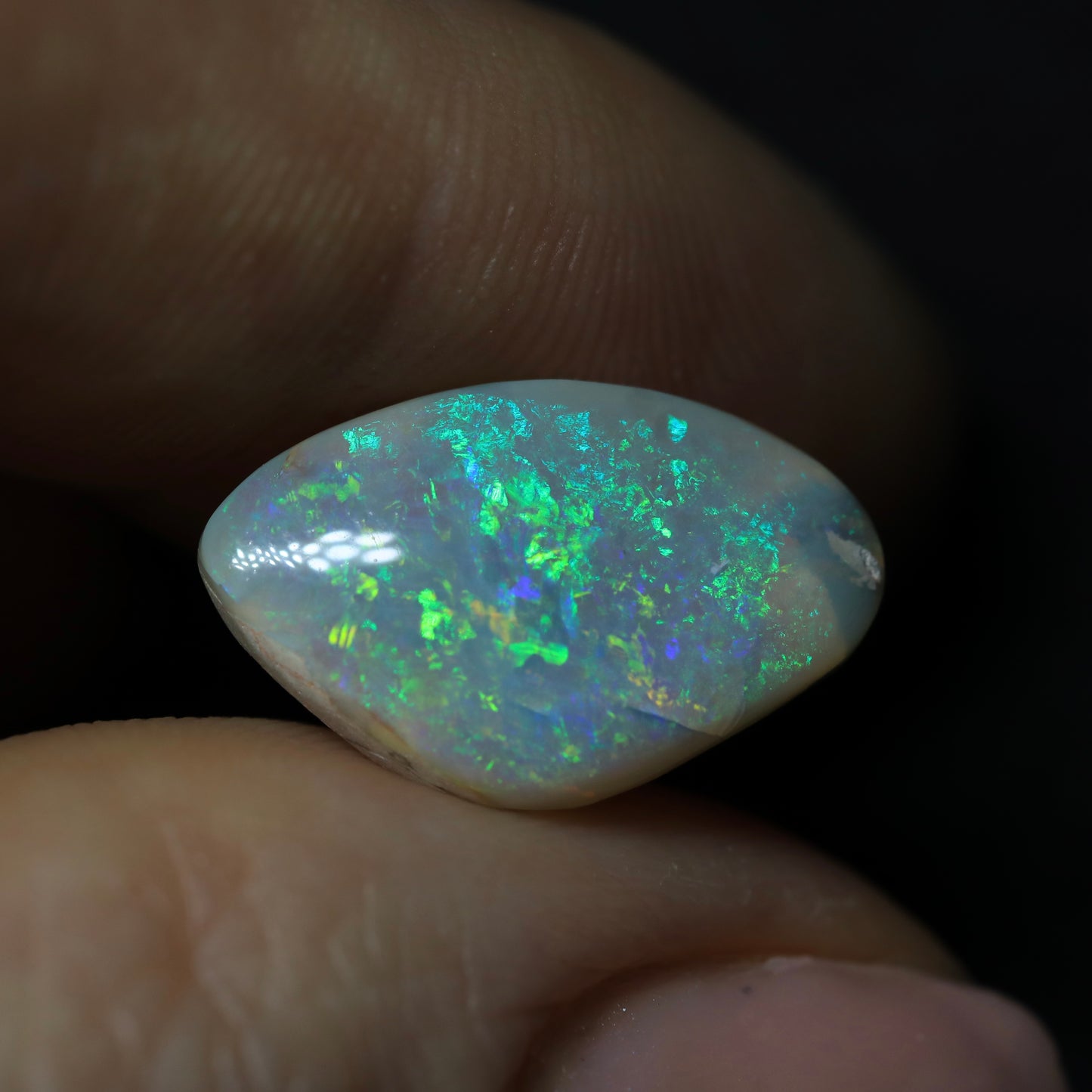 Crystal Opal Cut from an Opalized Shell, from Lightning Ridge, Australia