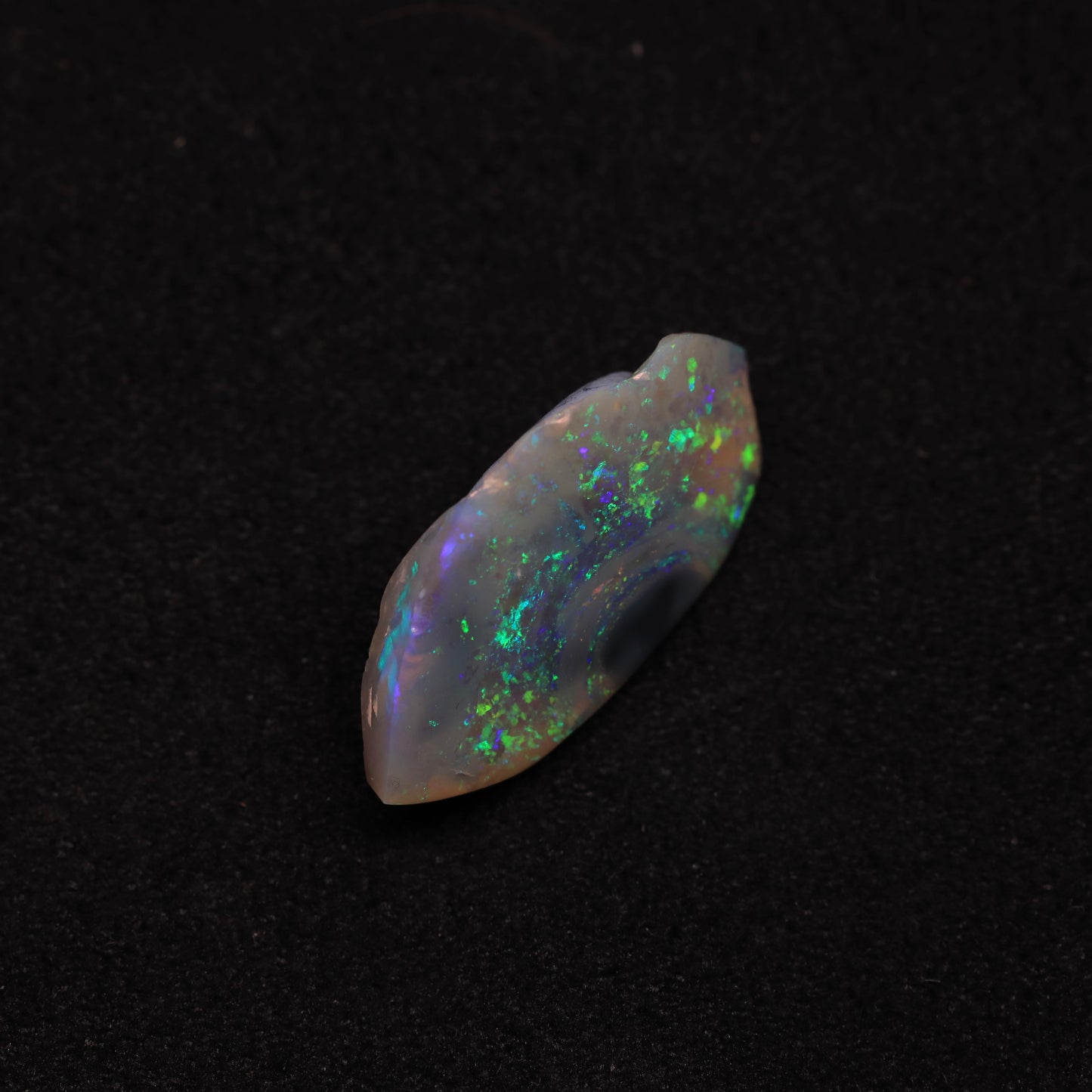 Opalised Clam Shell Fossil From Lightning Ridge, Australia