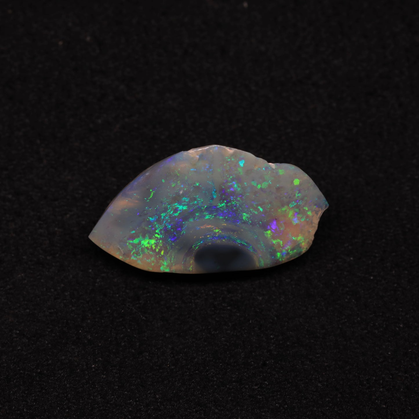 Opalised Clam Shell Fossil From Lightning Ridge, Australia