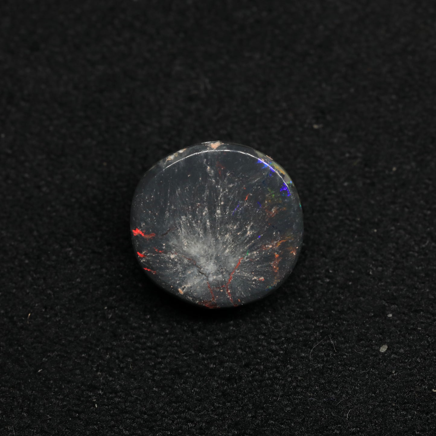 Opalised Wood Fossil From Lightning Ridge, Australia