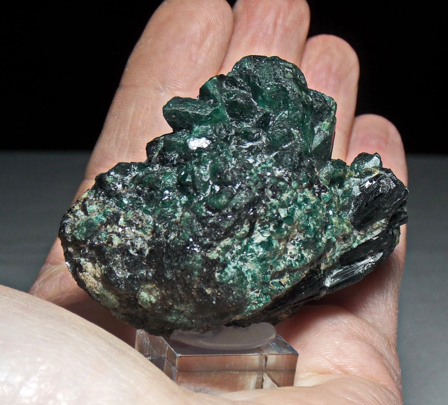 Museum Grade Russian Alexandrite Mineral Specimen With Black Tourmaline On Host Rock From Ural Mountains