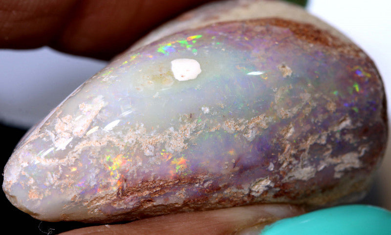Opalised Mussel Bi-Valve Fossil from Lightning Ridge, Australia