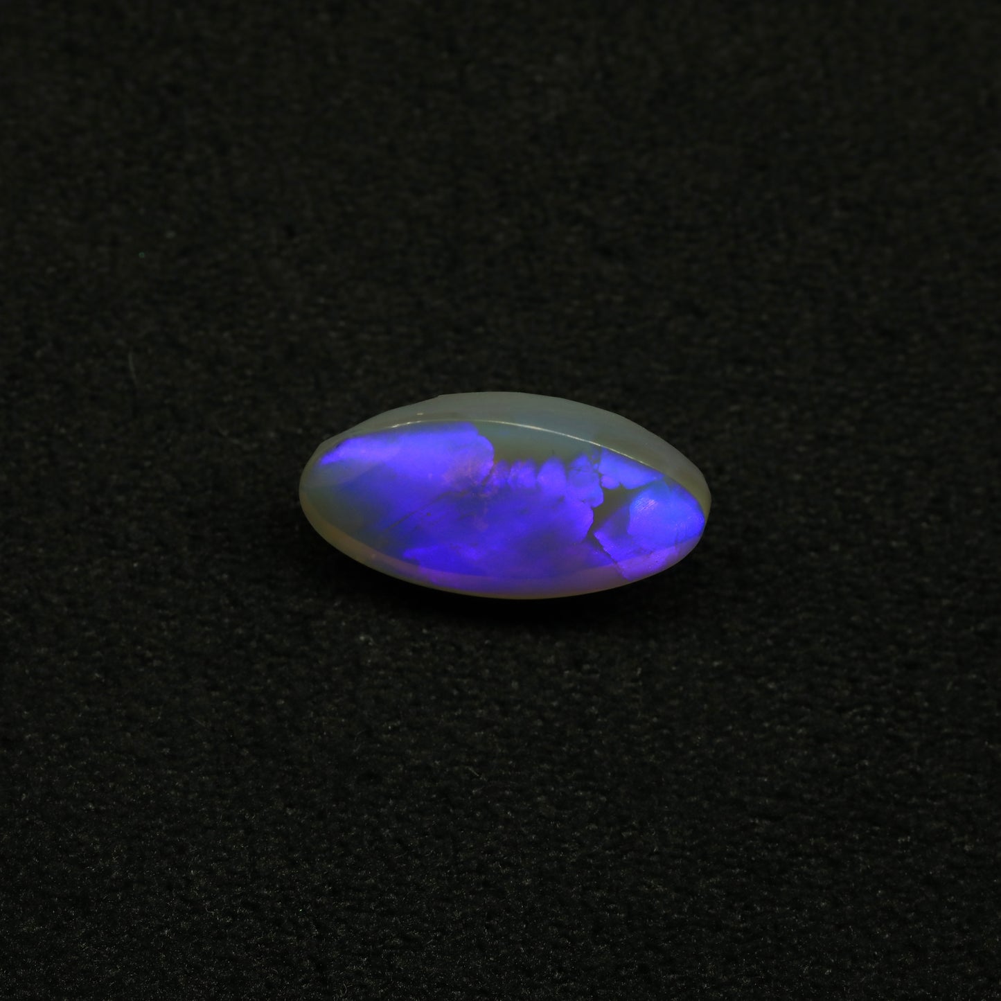 Crystal Opal From Lightning Ridge, Australia
