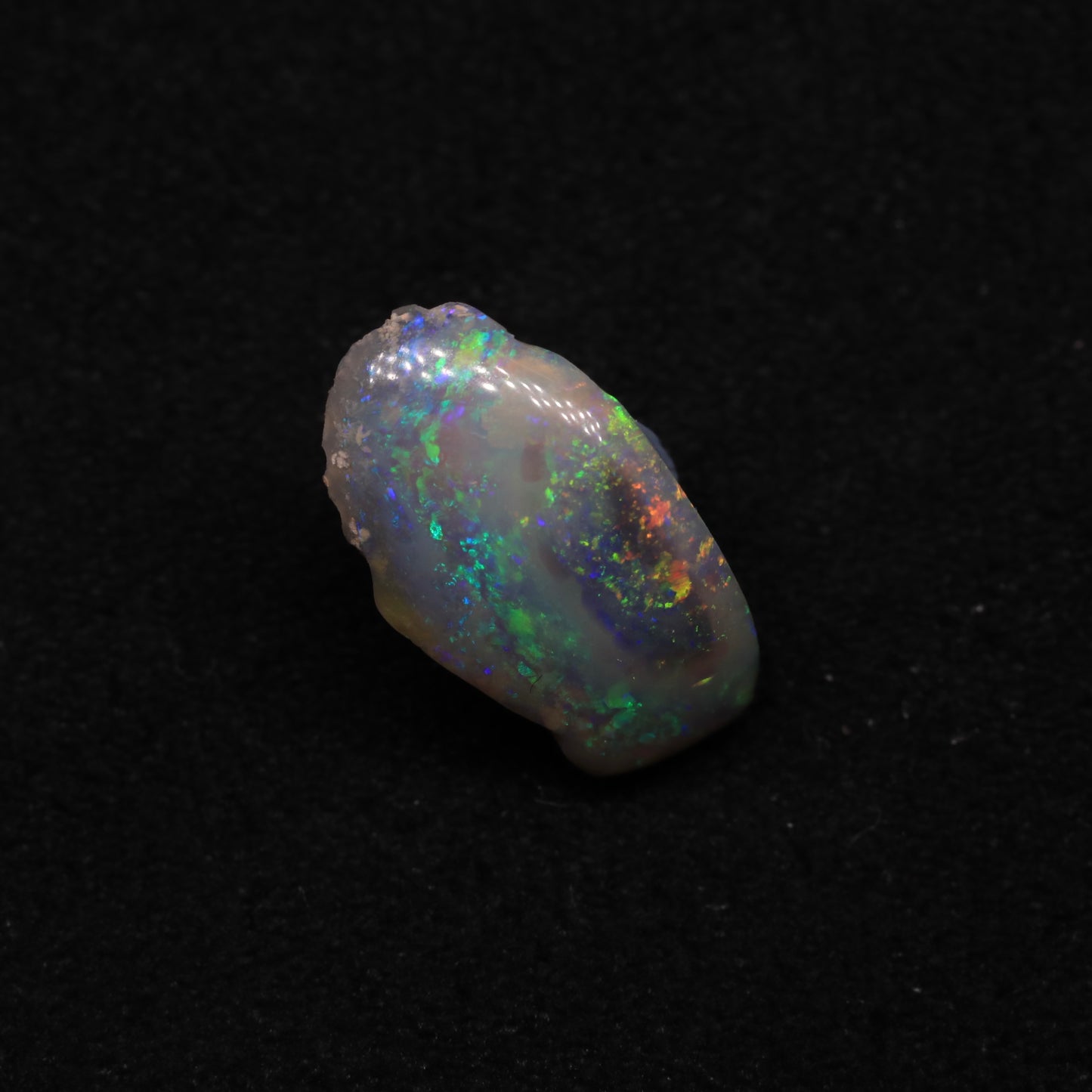 Opalised Clam Shell Fossil From Lightning Ridge, Australia