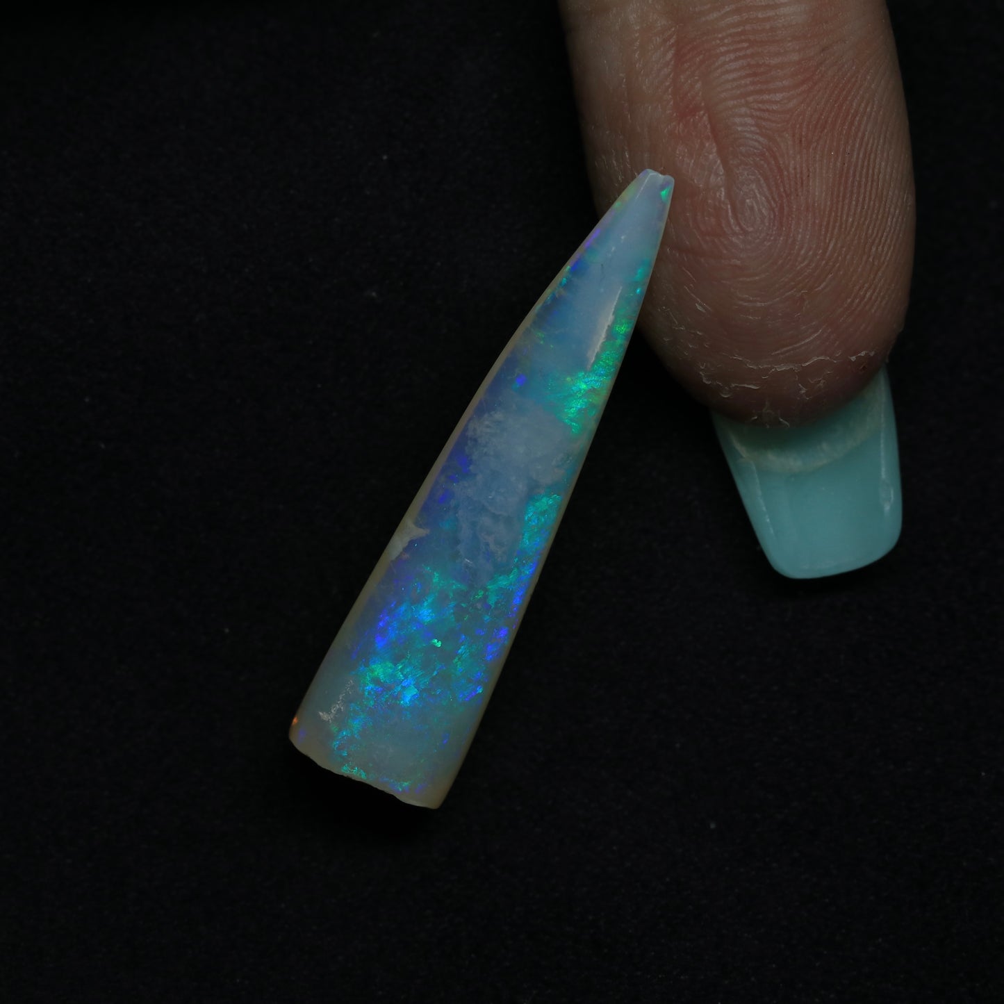 Opalised Belemnite Specimen From Lightning Ridge, Australia