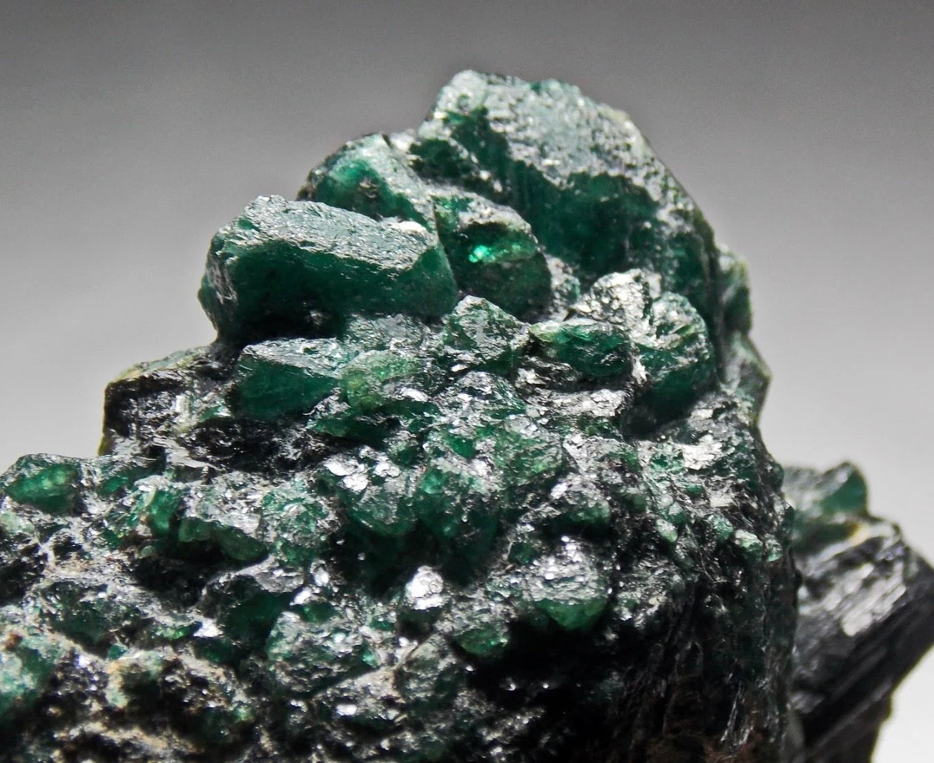 Museum Grade Russian Alexandrite Mineral Specimen With Black Tourmaline On Host Rock From Ural Mountains