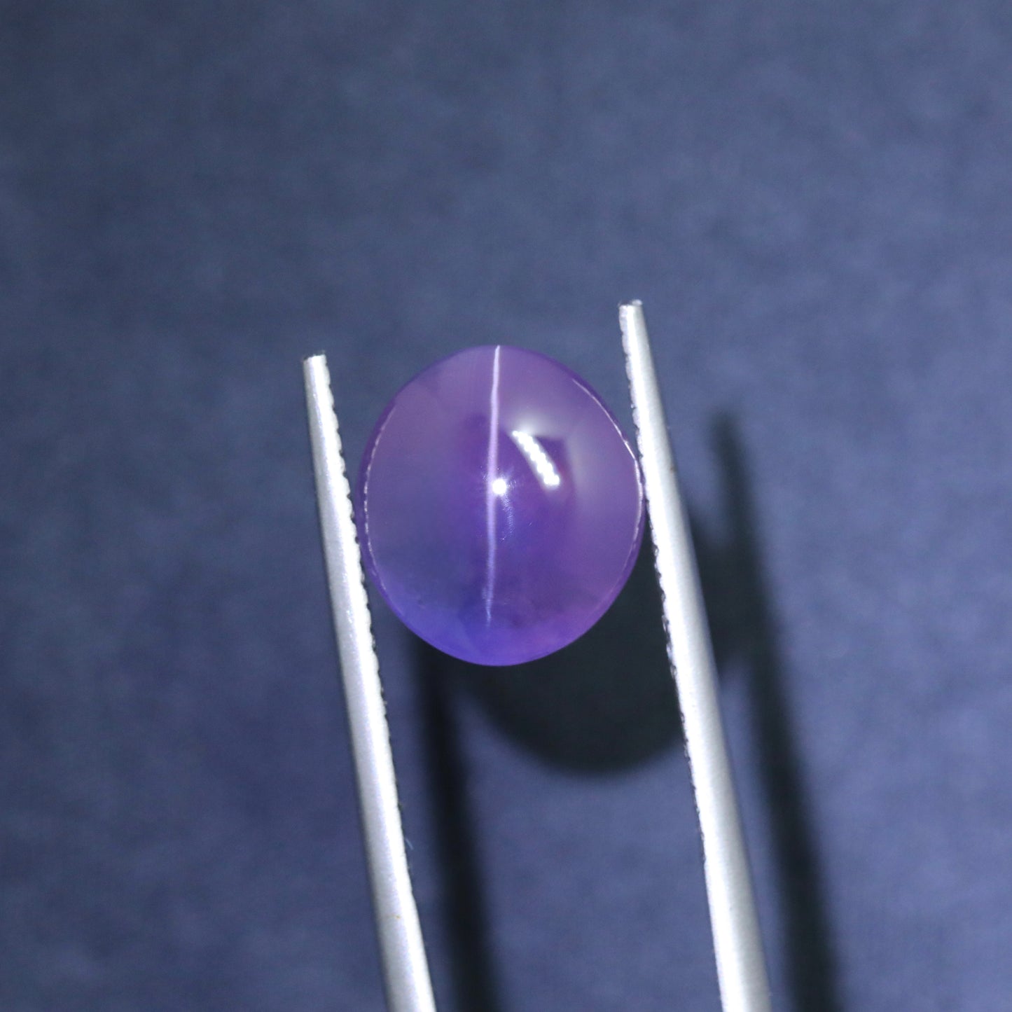 Unique Bicolor Cat’s Eye Sapphire From Sri-Lanka