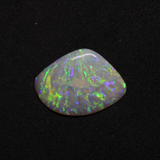 Opalised Clam Curved Shell Fossil From Coober Pedy, South Australia