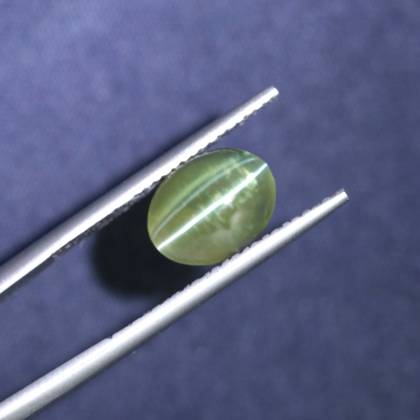 Neon Green Cat's Eye Chrysoberyl From Sri Lanka