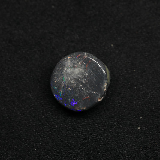 Opalised Wood Fossil From Lightning Ridge, Australia