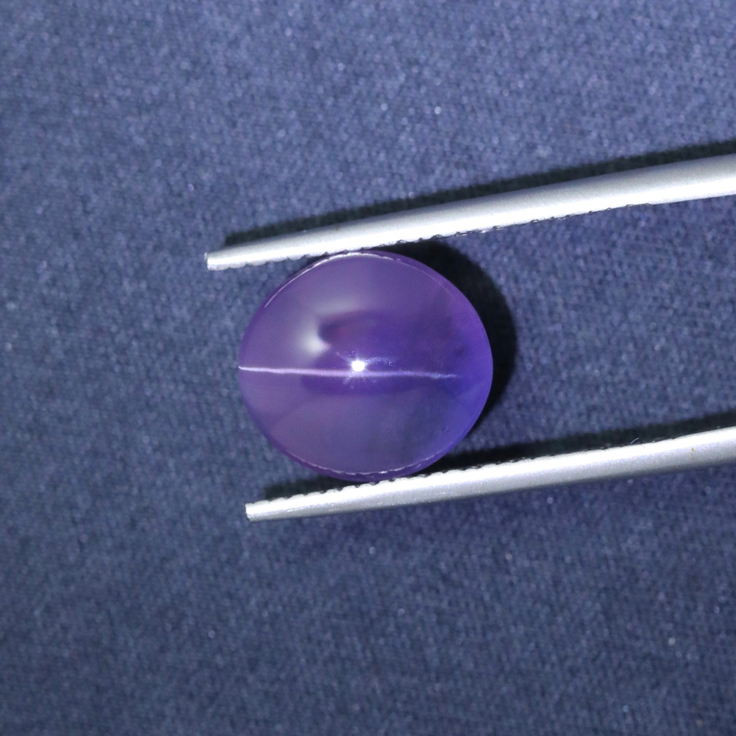 Unique Bicolor Cat’s Eye Sapphire From Sri-Lanka