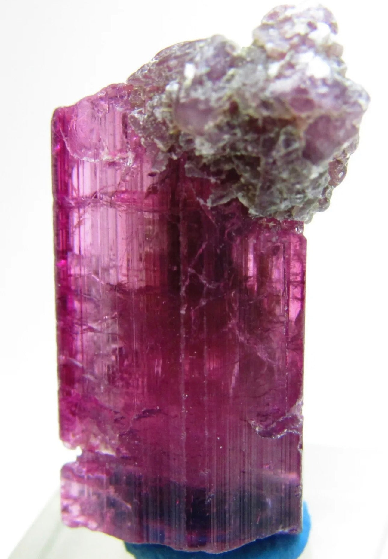 Mesmerizing Rubellite Tourmaline Gem Crystal With Lepidolite From Brazil