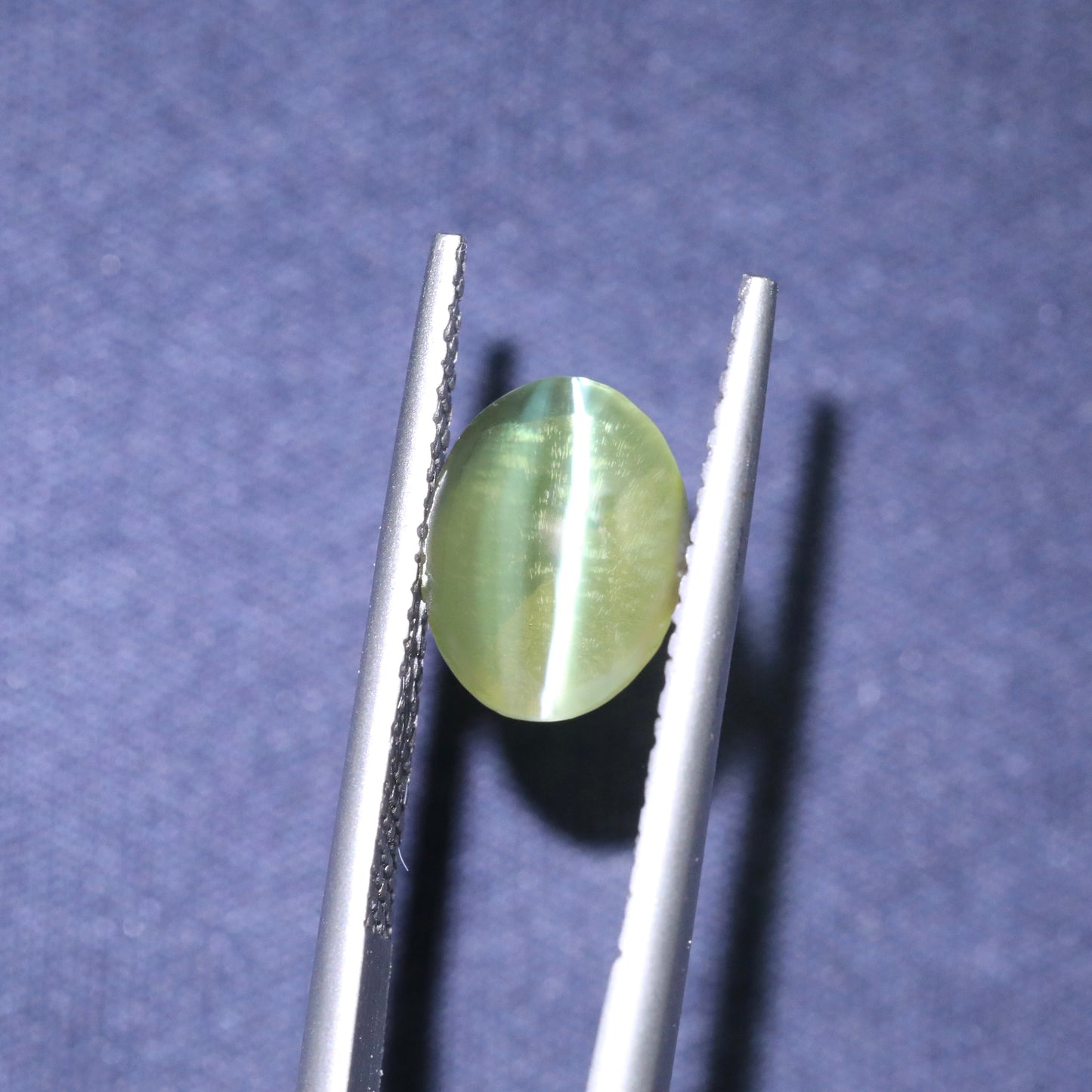 Neon Green Cat's Eye Chrysoberyl From Sri Lanka