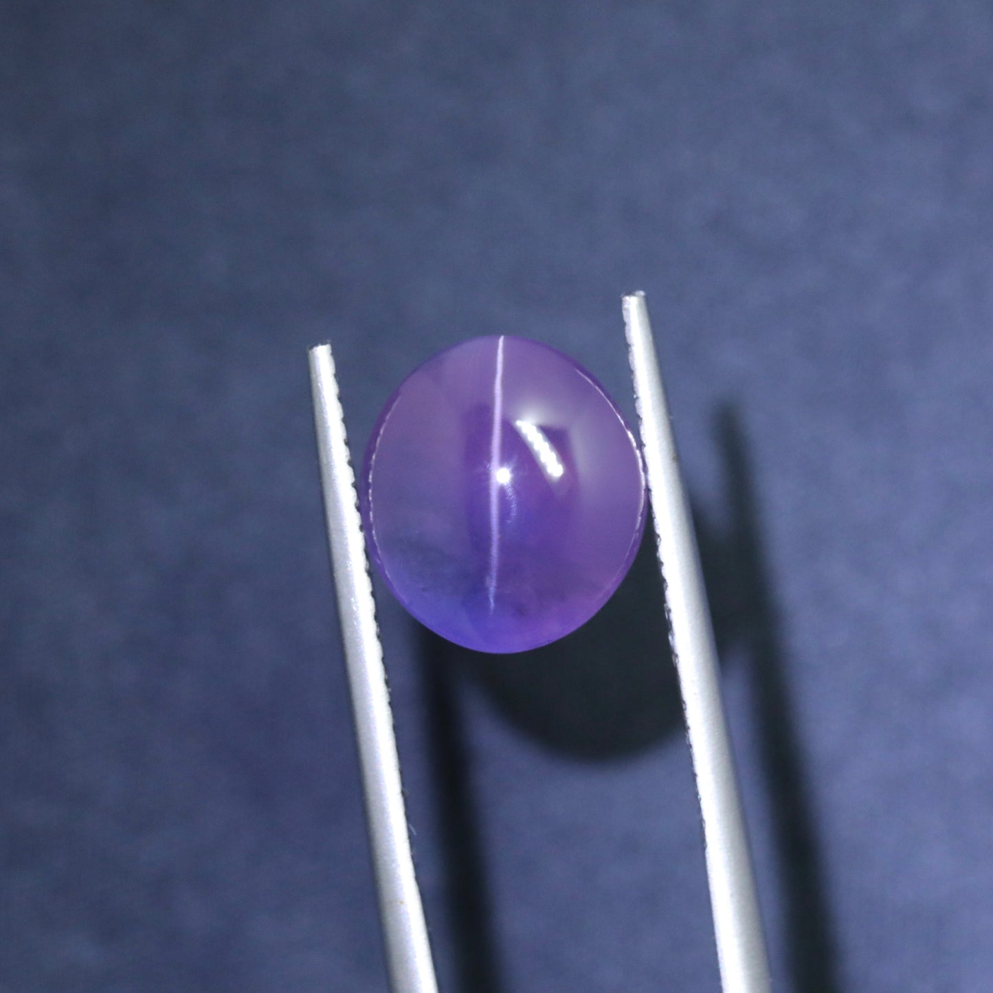 Unique Bicolor Cat’s Eye Sapphire From Sri-Lanka