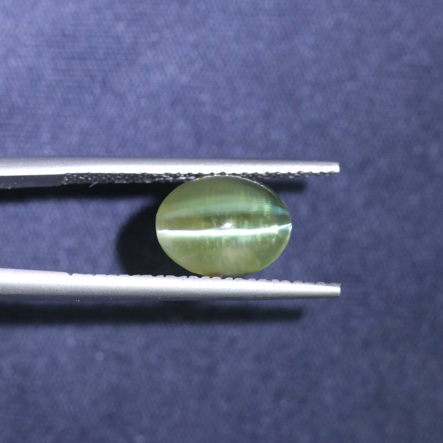 Neon Green Cat's Eye Chrysoberyl From Sri Lanka