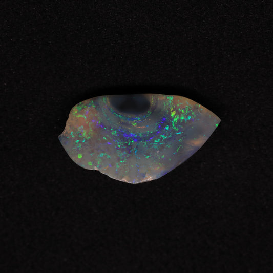 Opalised Clam Shell Fossil From Lightning Ridge, Australia
