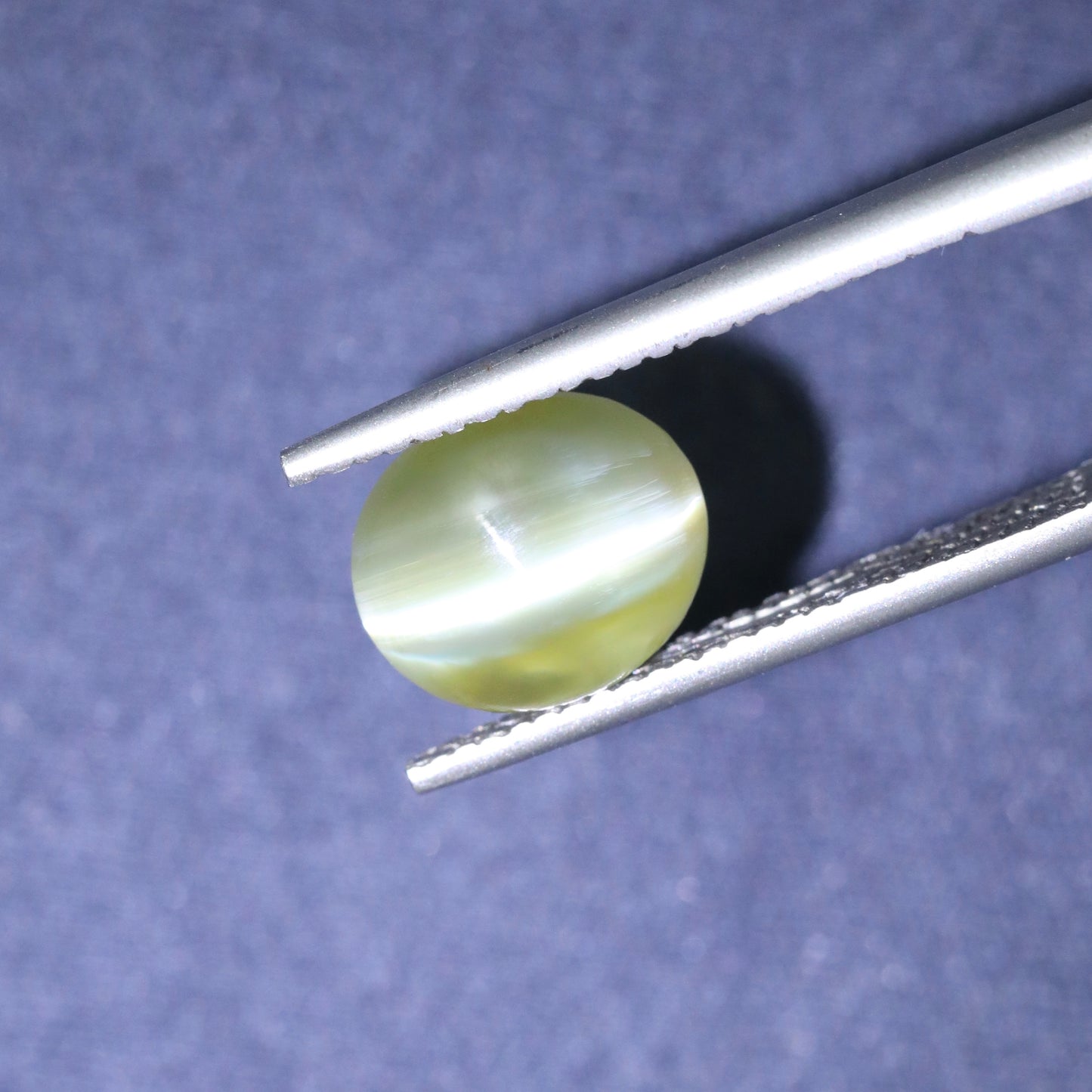 Neon Yellow/Green Cat's Eye Chrysoberyl From Sri-Lanka