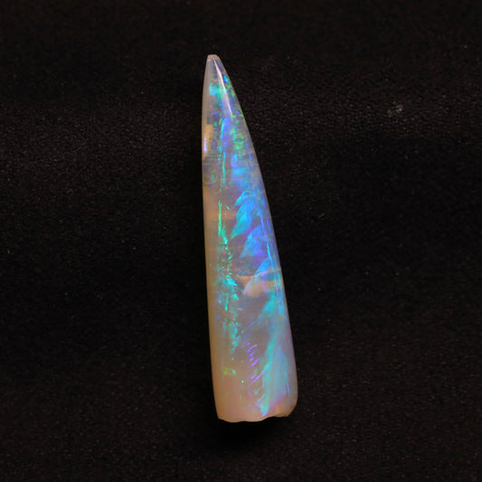 Opalised Belemnite Specimen From Lightning Ridge, Australia